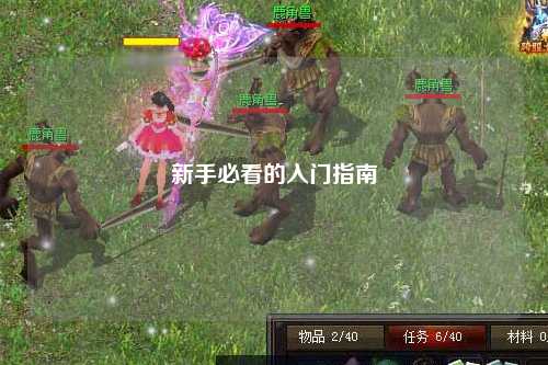 新手必看的入门指南